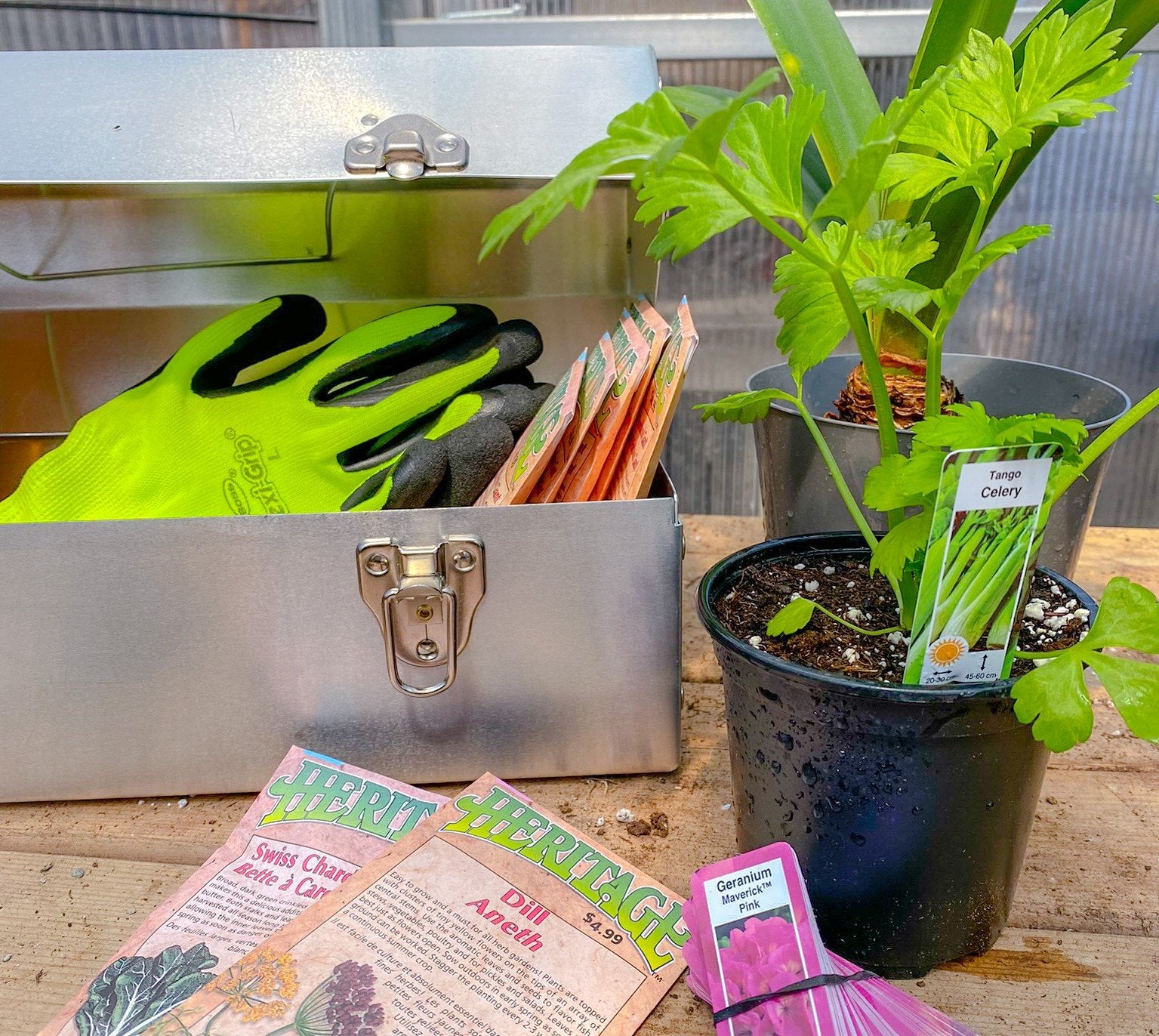 L. May metal lunchbox used for gardening recycle ideas to reuse a metal lunchbox